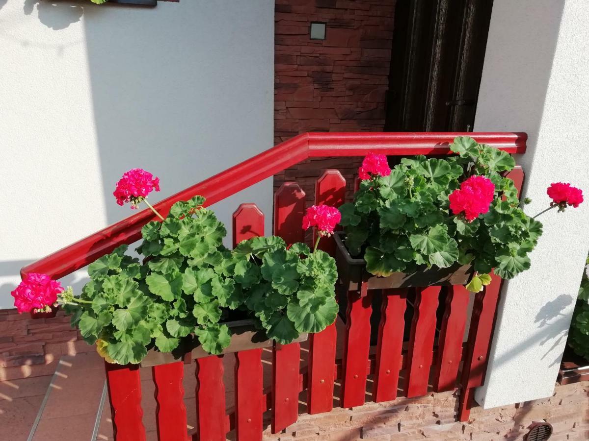 Villa Privat Kovacova Žiar Exterior foto