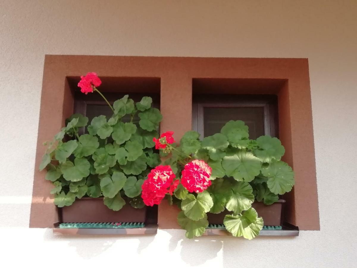 Villa Privat Kovacova Žiar Exterior foto